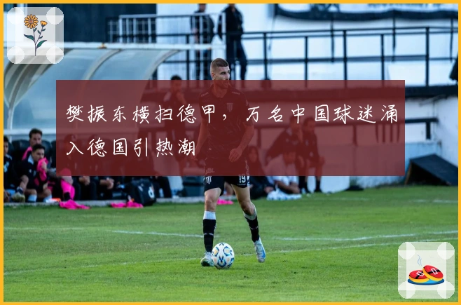 樊振东横扫德甲，万名中国球迷涌入德国引热潮