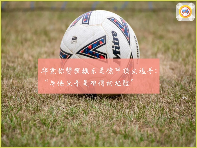 邱党称赞樊振东是德甲顶尖选手：“与他交手是难得的经验”