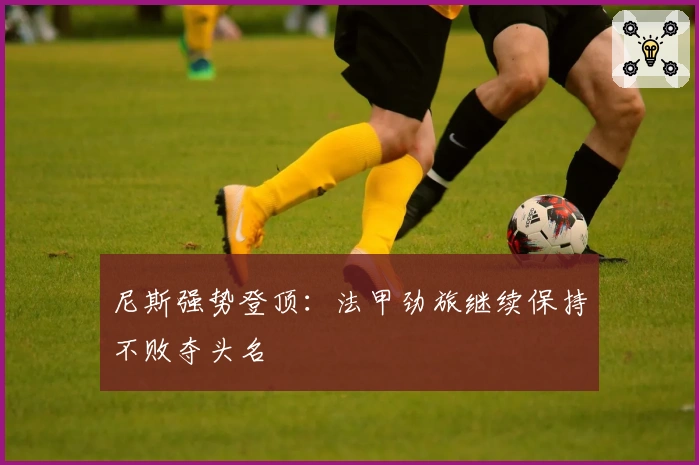 尼斯强势登顶：法甲劲旅继续保持不败夺头名