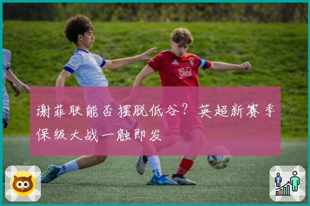 谢菲联能否摆脱低谷？英超新赛季保级大战一触即发