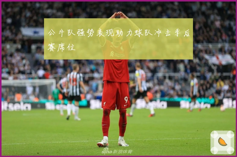 公牛队强势表现助力球队冲击季后赛席位